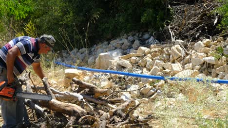 hombre cortando leña con un bosque de motosierra