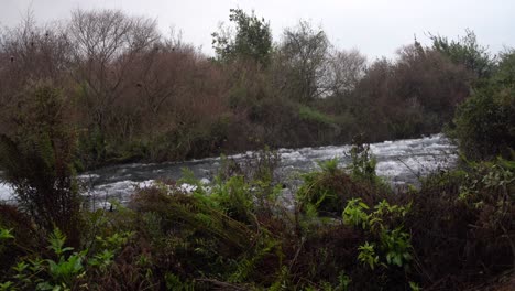 Fluss-An-Der-Biblischen-Stätte-Tel-Dan-Israel