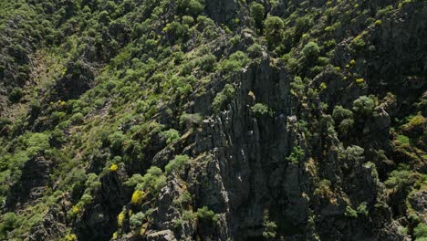 La-Espectacular-Cascada-De-Meancera-En-El-Norte-De-Extremadura-Ajardinada-En-Un-Paraje-Natural-Una-Cascada-De-100-Metros-Grabada-Con-Mavic-3-En-C4k-30fps-Y-Sin-Corrección-De-Color