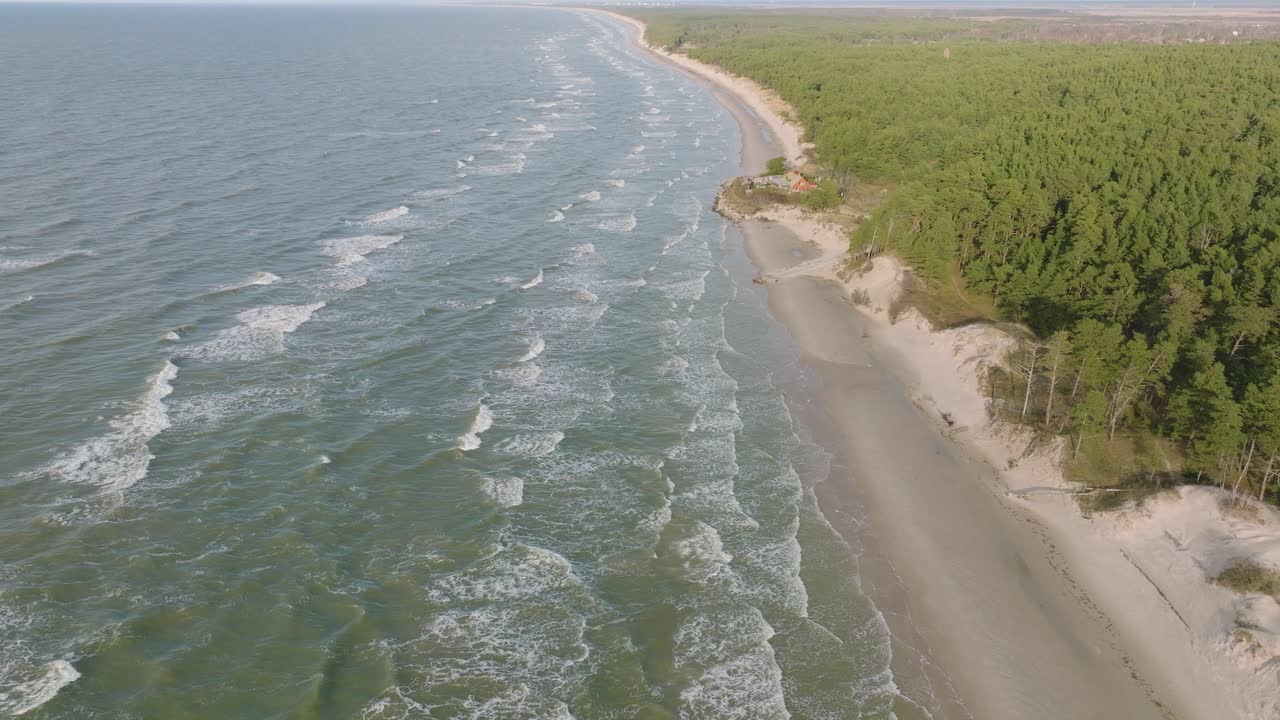 воздушная съемка побережья балтийского моря, солнечный день, дюны с белым песком, поврежденные волнами, сосновый лес, эрозия берегов, изменения климата, широкоугольный снимок с дрона, движущийся вперед, наклон вниз