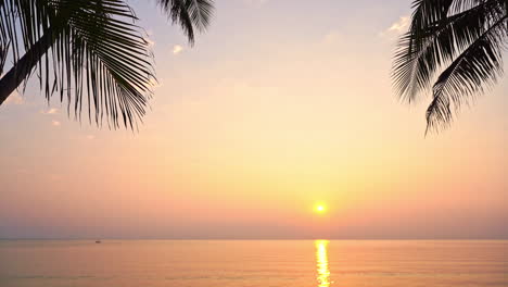 Vista-Exótica-De-La-Puesta-De-Sol-De-Color-Púrpura-Sobre-El-Mar-Con-La-Silueta-De-La-Rama-De-La-Palmera-En-Primer-Plano