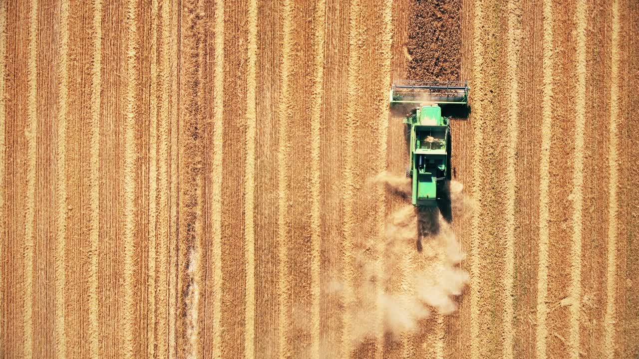 Vista dall'alto di mietitrebbie al lavoro in un campo di grano