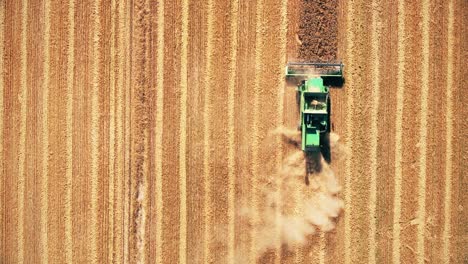 Vista-De-Arriba-Hacia-Abajo-De-Las-Máquinas-Cosechadoras-Que-Trabajan-En-El-Campo-De-Trigo.