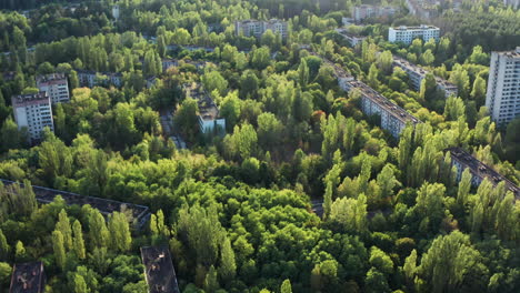 medio ambiente curativo de la zona de exclusión, destruida por el desastre de chernobyl