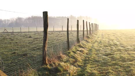 garden fence at sunrise in winter