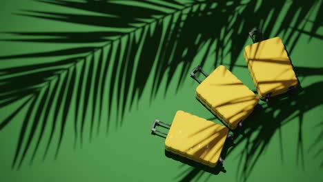 suitcases on tropical green background