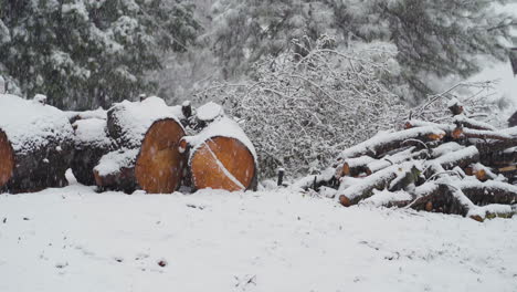 still shot of snowfall blanketing cut wood pile, logs and branches from fallen tree in winter