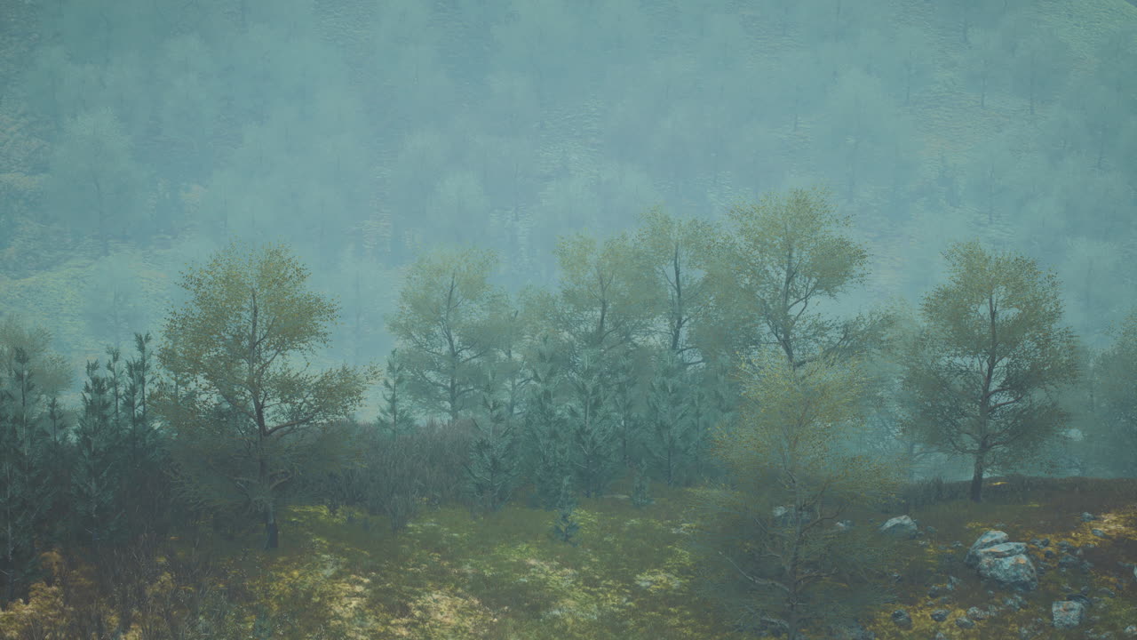 Misty morning landscape with trees and rolling hills in soft colors