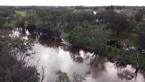 aerial tilt up shot with overflowing river, swan valley perth australia