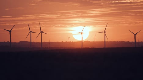 wind turbines in the farm fields at the sunset