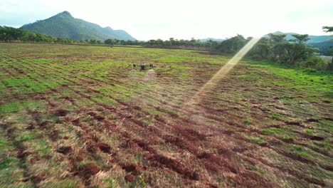 Agricultural-drone-spraying-a-field