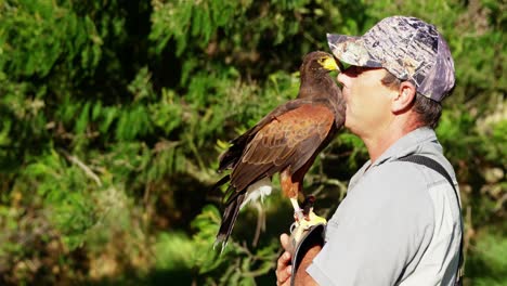 man training a falcon eagle