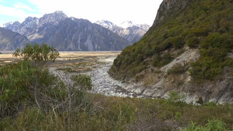 small mountain stream in red tarns track, south island, new zealand - wide shot