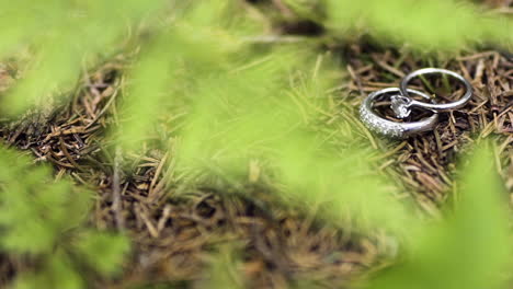 engagement ring on forest floor