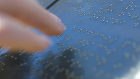 blind braille reading