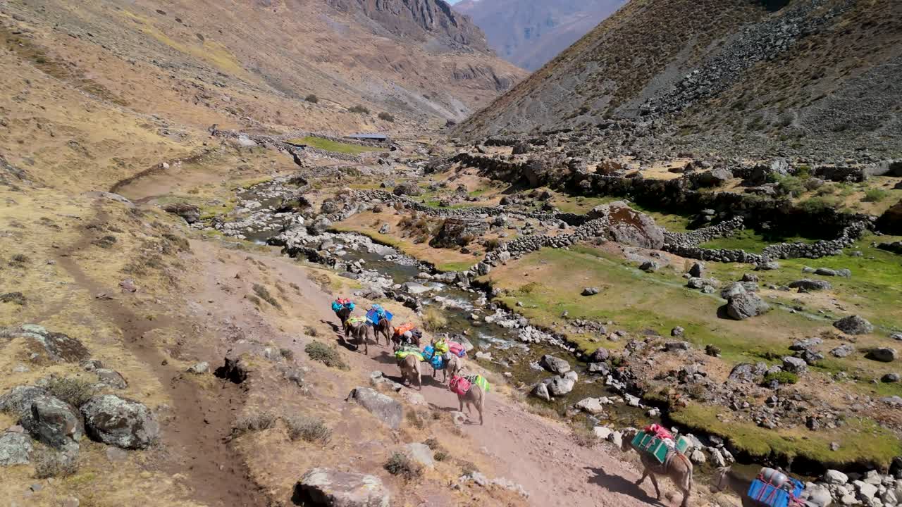 Pack donkeys carry bags on the Huayhuash trek, winding through a high Andean valley beside a mountain stream with Inca ruins in view - aerial parallax shot