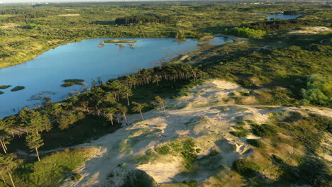 aerial tilt up of national park zuid kennemerland with sunset