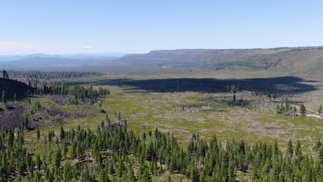 drone video capturing the scenic beauty of lassen national forest nestled in a valley adorned with abundant pine trees