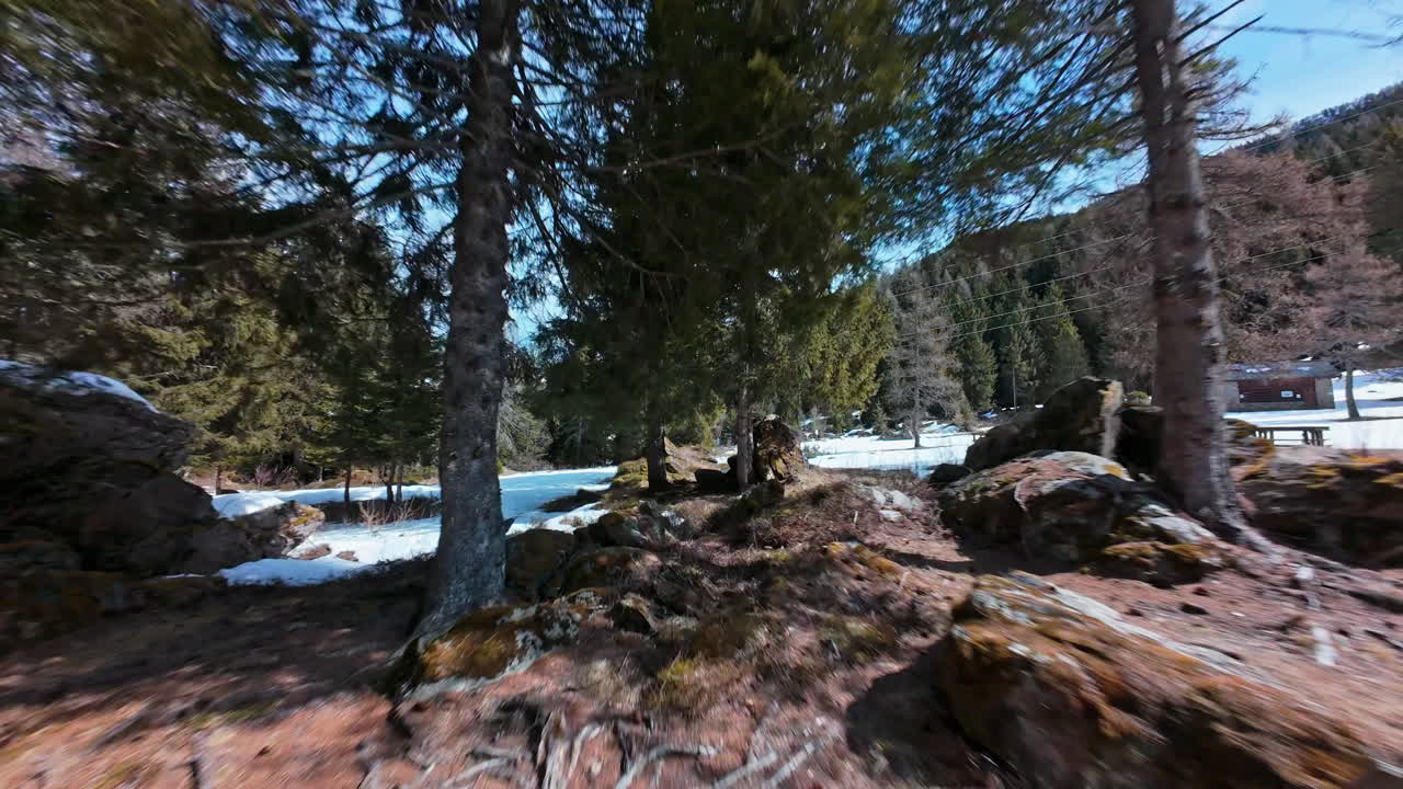 Vista drone di foresta e neve nelle Alpi svizzere con atmosfera serena