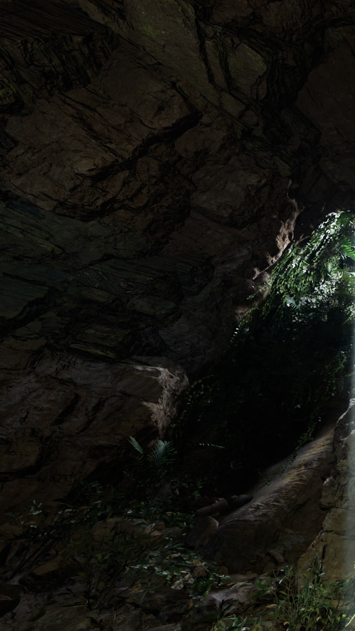 Light shines through cave entrance revealing plants and rocks
