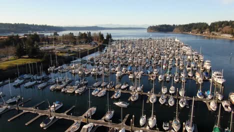 Flug-über-Einen-Yachthafen-Bei-Sonnenuntergang-In-Olympia-Washington-Am-Puget-Sound