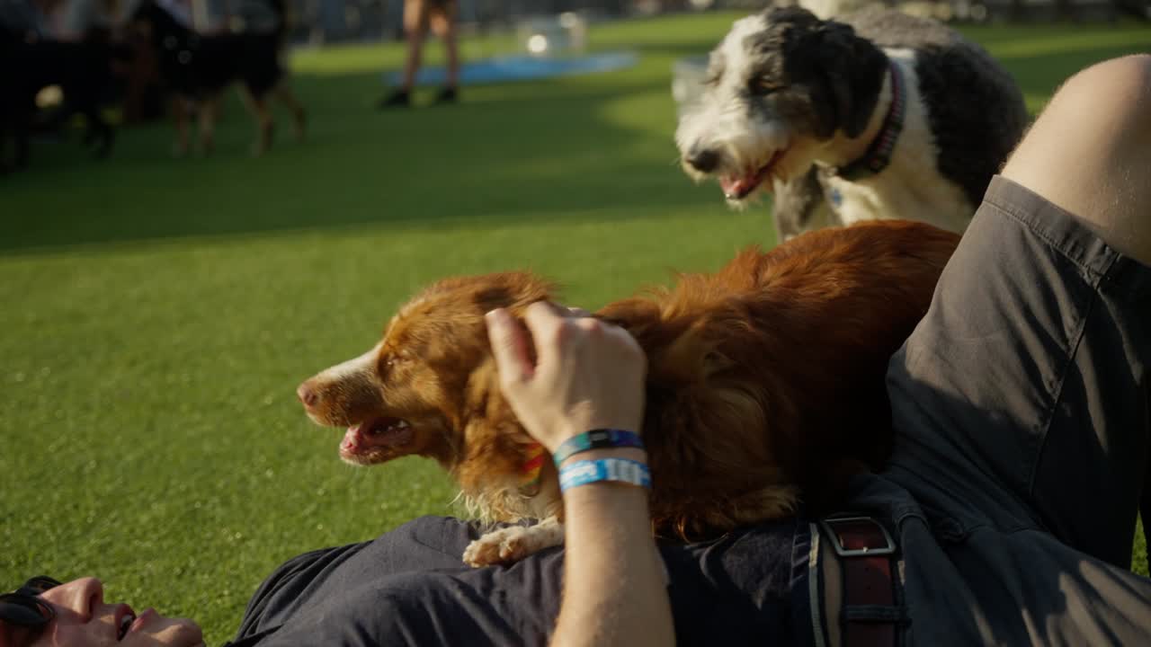un hombre juega con un perro en un baño al aire libre en el parque para perros