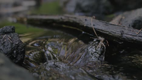 Water-flowing-rapidly-in-a-close-up-over-rocks-and-a-fallen-branch-after-rainfall