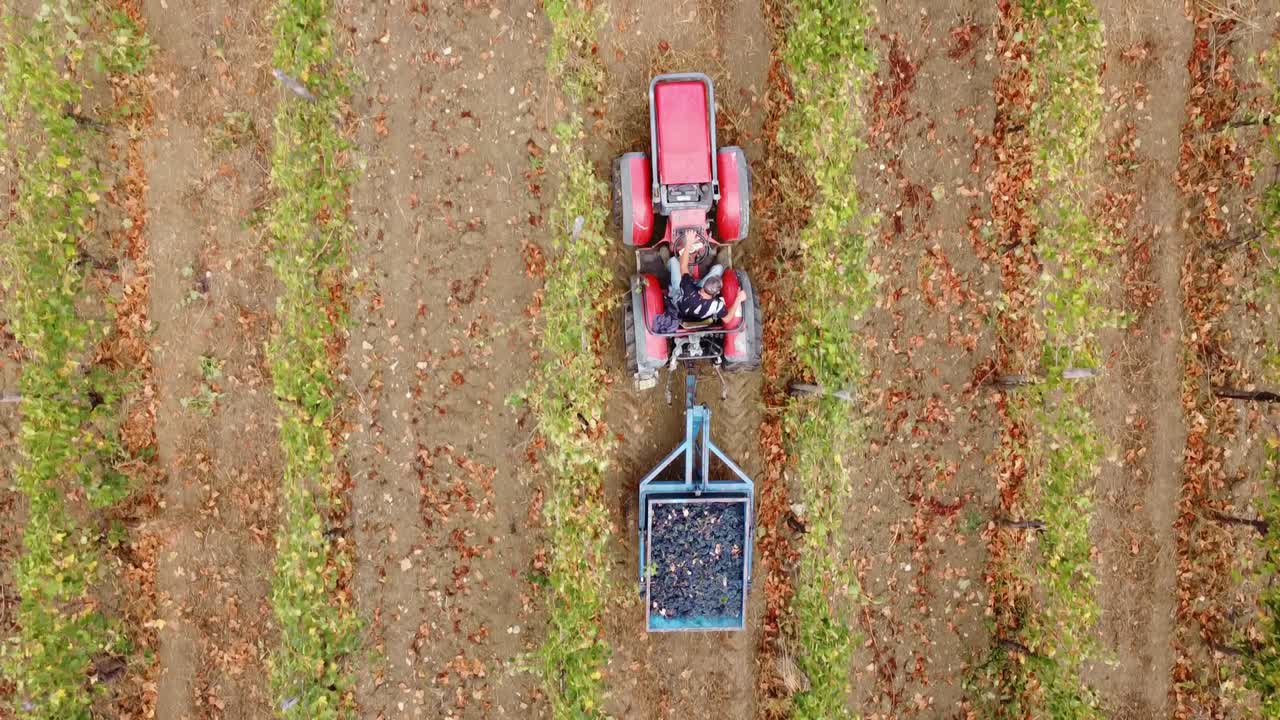 vista aérea sobre un tractor atravesando hileras de viñedos, en el campo de italia.