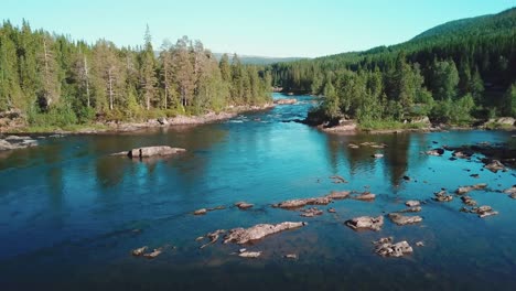 forward aerial shot over a river in a large forest in mid norway