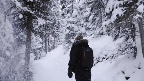 Hiker-on-Trail-in-Banff,-Alberta-Canada,-Winter-Season,-Snowfall-4K