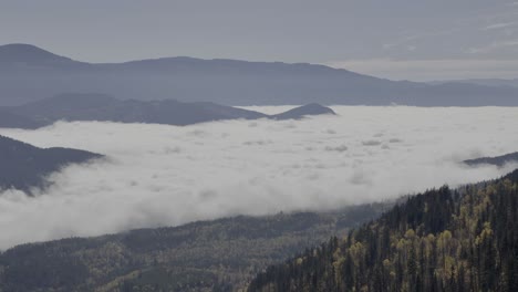 above the cloud blanket: drone capture of fall colors and forested mountains