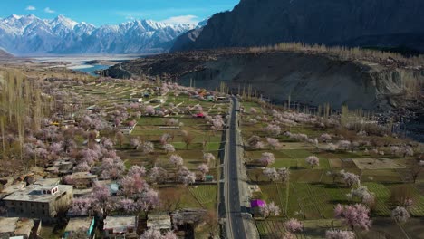 Backward-aerial-shot-of-blossom-in-Skardu,-Pakistan-with-mountains-at-background