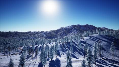 splendid alpine scenery in winter