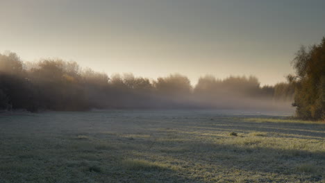 autumn frost on meadow in sweden, static background shot