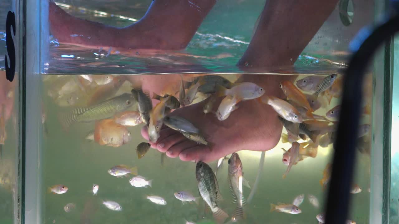 средний снимок аквариума для ножного массажа рыб