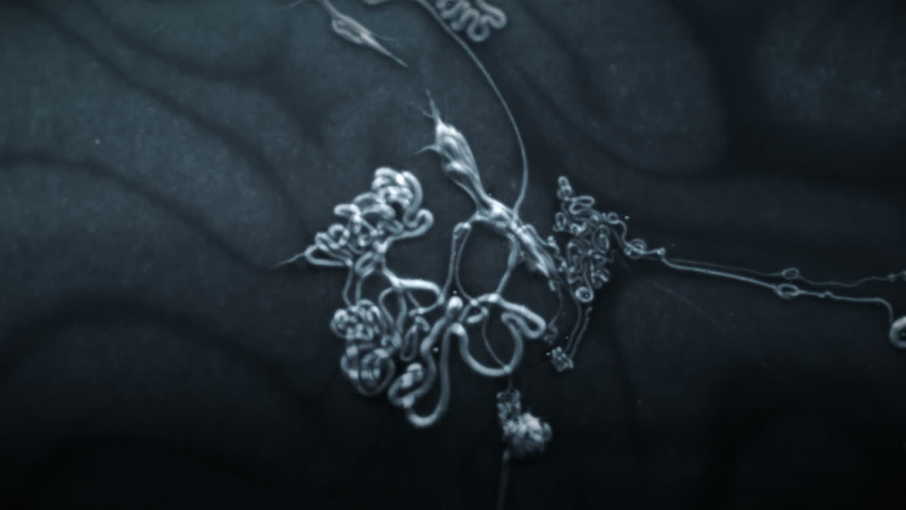 sustancia microscópica flota en un fluido oscuro