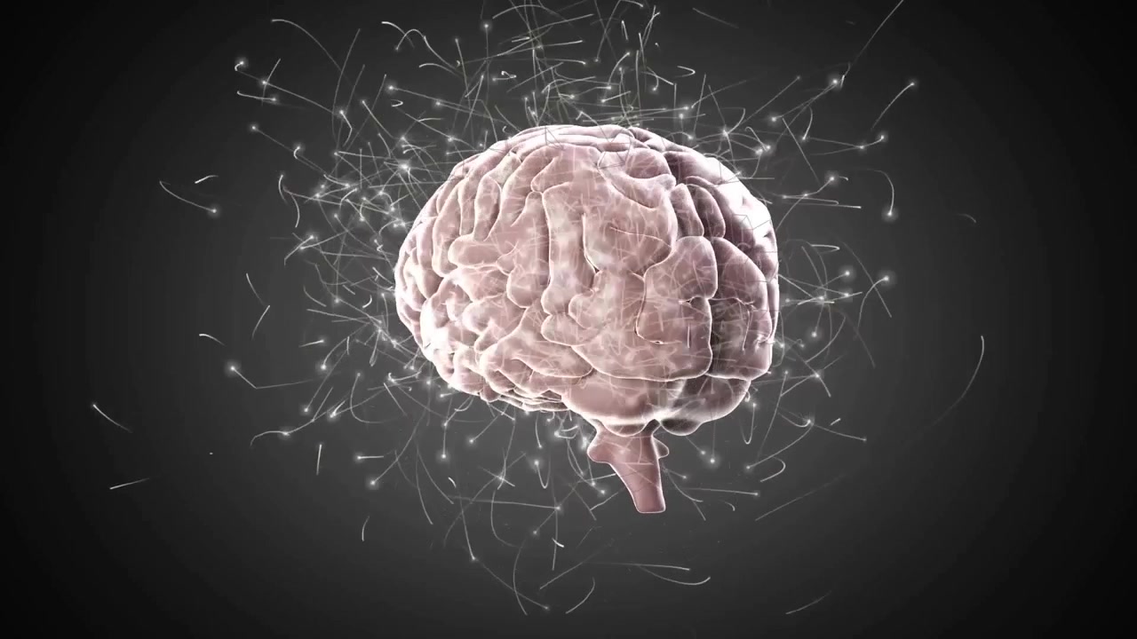Starting initial view showing 3D brain model rotating sides pulsing tracers mapping connectivity