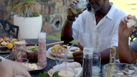 senior diverse men enjoying in garden lunch, sharing stories and laughter in garden setting