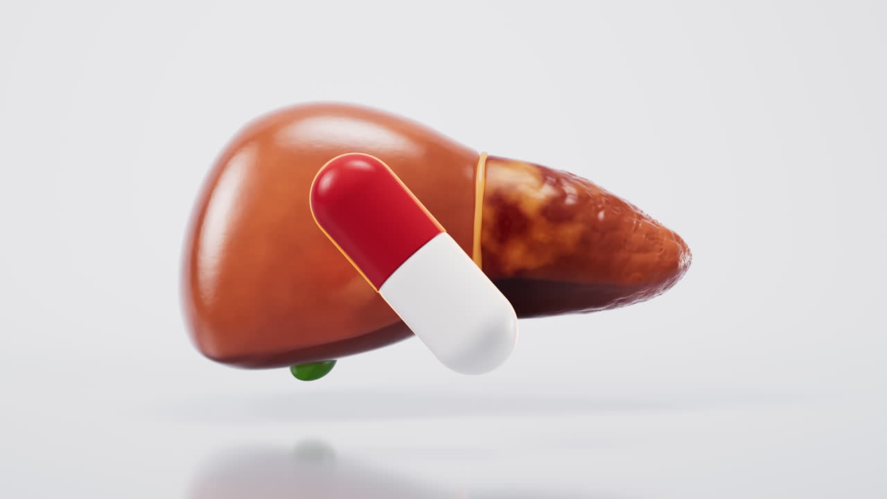 Liver organ with fatty liver state, 3d rendering.