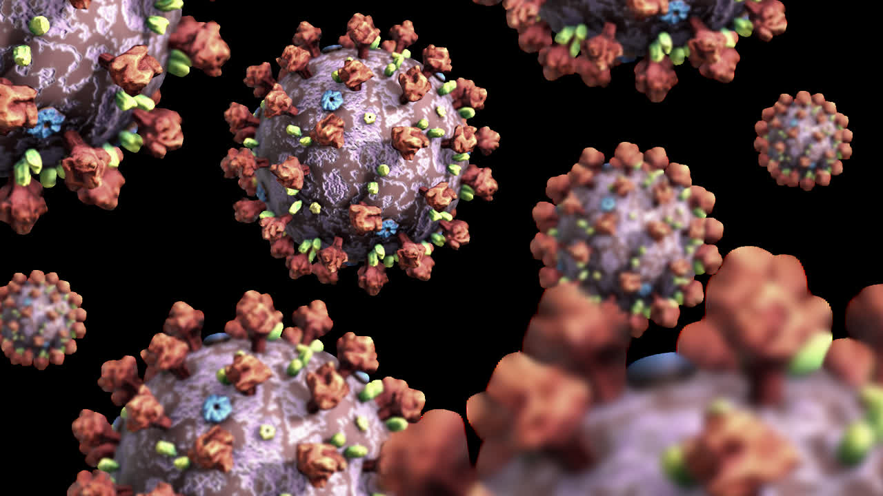 Animated Seamless Loop of Several Coronavirus Virons with Transparent Background