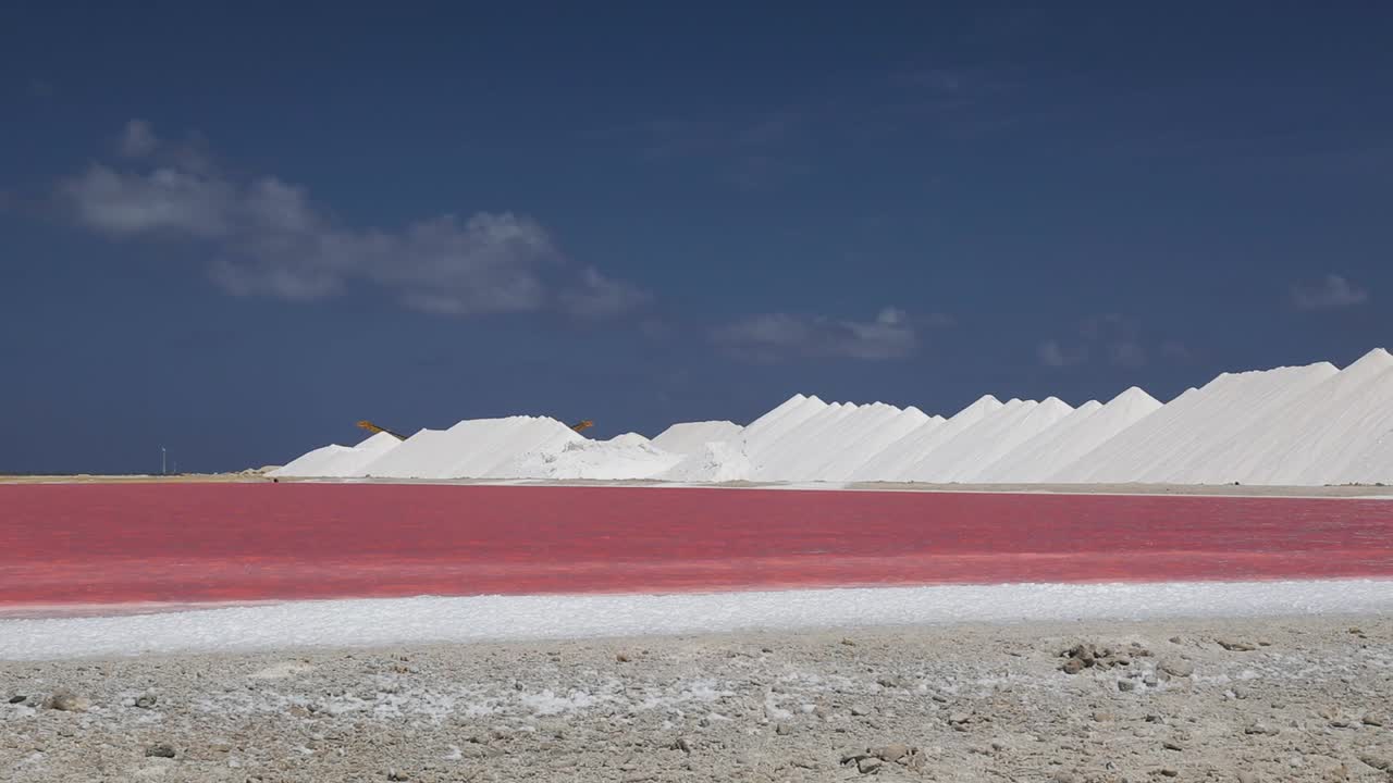 las salinas rosadas y verdes y los lagos de bonaire