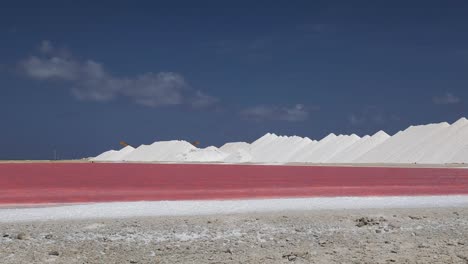 Die-Rosa-Und-Grünen-Salzpfannen-Und-Seen-Von-Bonaire