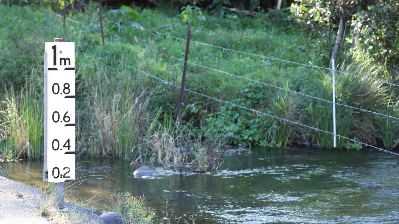 숲의 하천에서 물 수준을 측정하는 것