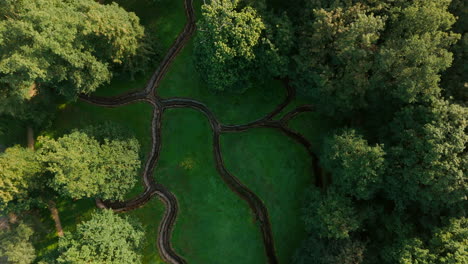 Vista-Aérea-De-Arriba-Hacia-Abajo-De-Trincheras-De-Guerra-De-La-Primera-Guerra-Mundial-En-Un-Bosque-Verde-Con-árboles-Esparcidos-Por-El-Paisaje-En-Los-Campos-De-Flandes