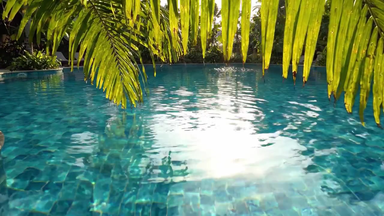 Eine ruhige Oase: Sonnenlicht tanzt auf kristallklarem Wasser, umgeben von üppigem Grün und tropischem Laub an einem idyllischen Rückzugsort am Pool.