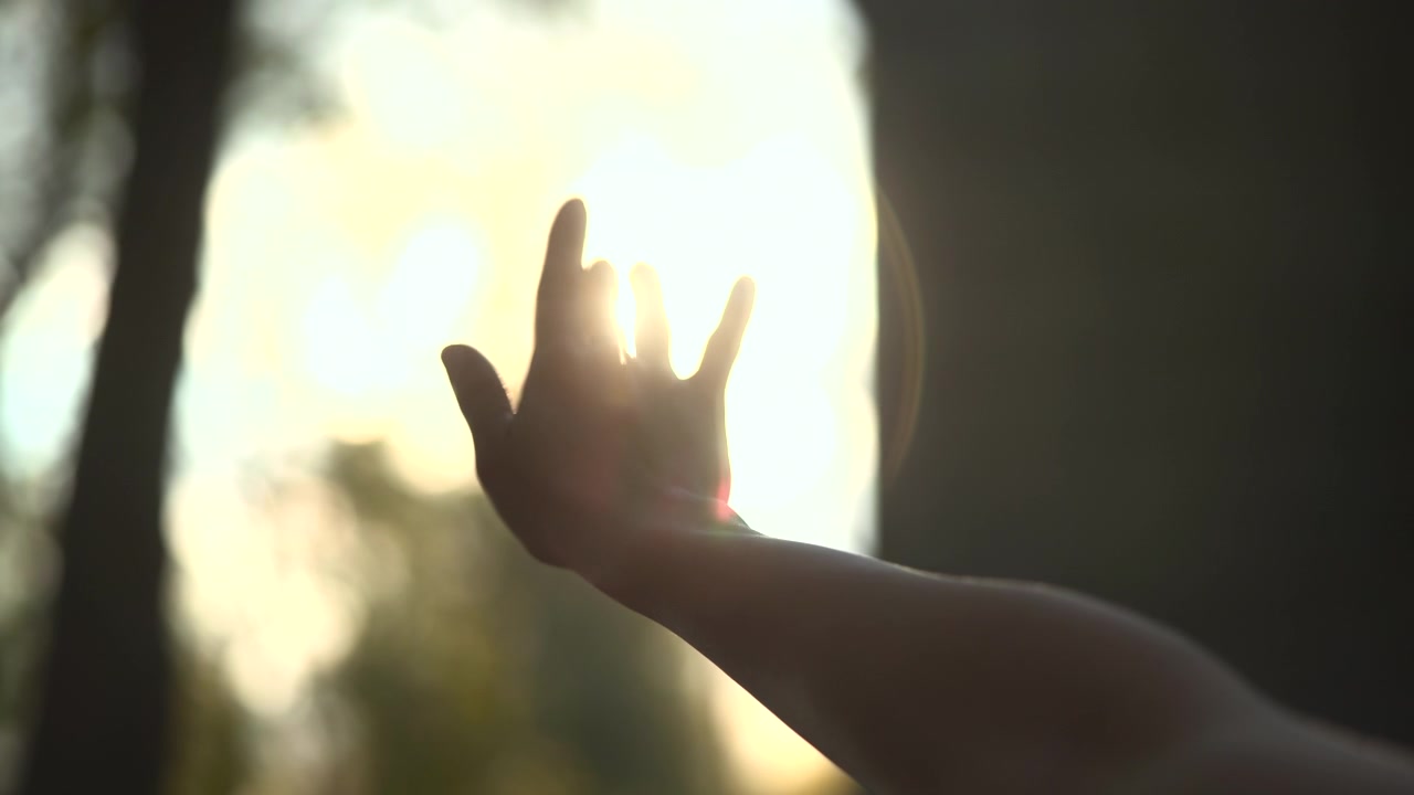 Un braccio e una mano in silhouette si protendono verso l'alto verso la luce solare intensa in una scena esterna delicatamente sfocata, creando una forte retroilluminazione, un bagliore caldo e un effetto lens flare visibile.