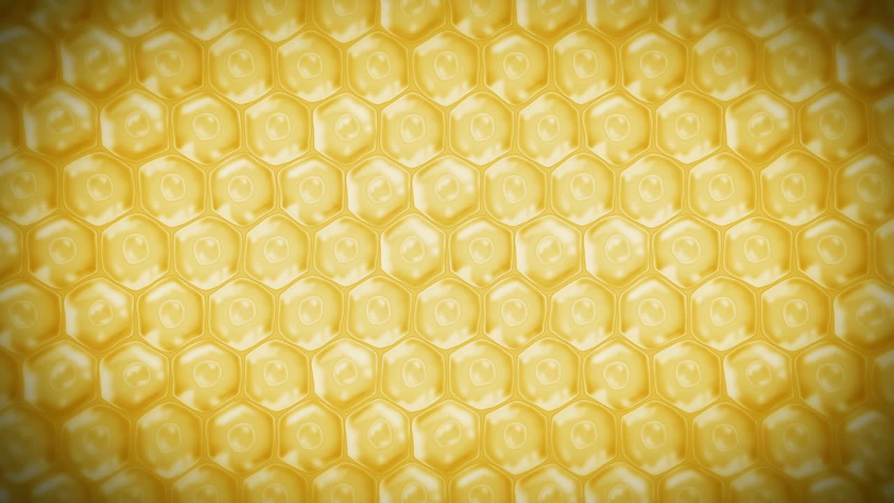 인간 피부 세포: 세포막을 가진 각 세포, 세포 치료, 질병 치료, 핵과 진공, 재생, 루프 애니메이션