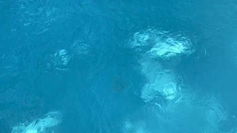 top view of working water filter in the bottom of an open-air swimming pool in 4k
