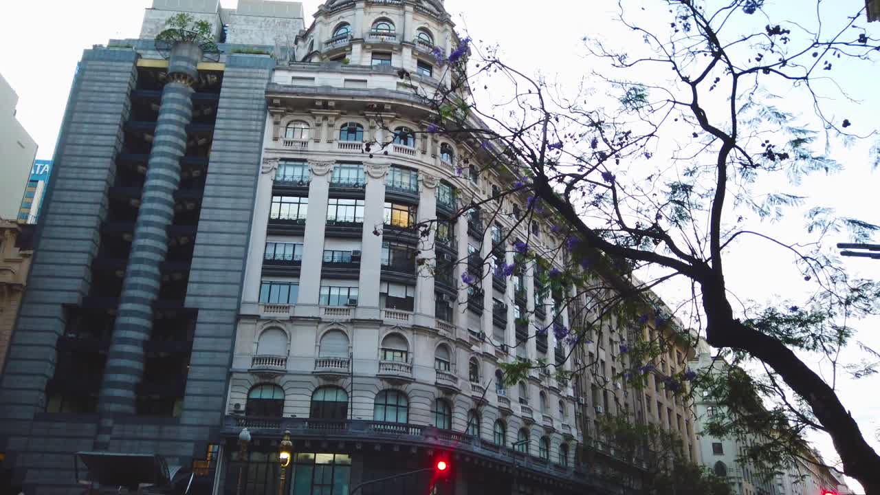 부에노스아이레스 시 (buenos aires) 의 역사적인 주거 건물, 아르헨티나, 자카란다 (jacaranda) 위에 보라색 꽃이 피는 나무