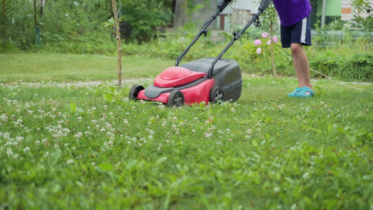man is working with lawn mower in the yard in the summer. Lawn mower is mowing grass on the plot